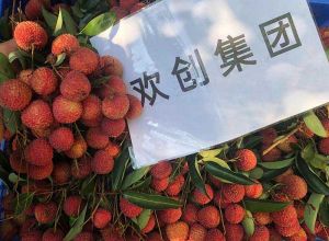 夏日好“枝”味，足球竞猜集团官网足球竞猜集团官网足球竞猜集团官网足球竞猜集团官网首页-足球竞猜(中国)-足球竞猜(中国)
集团发福“荔”啦